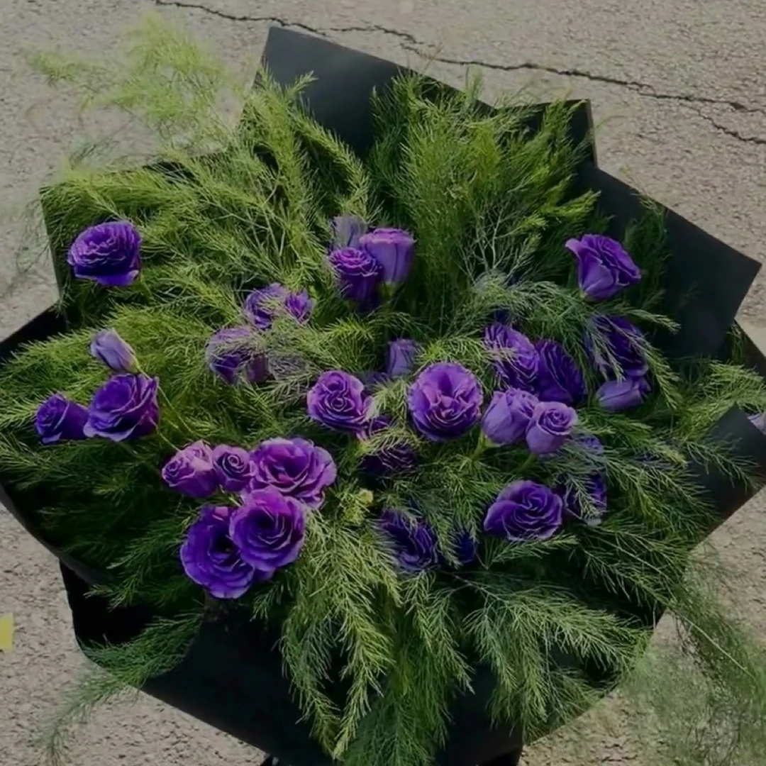 紫色桔梗花束 鲜切花  1单包邮