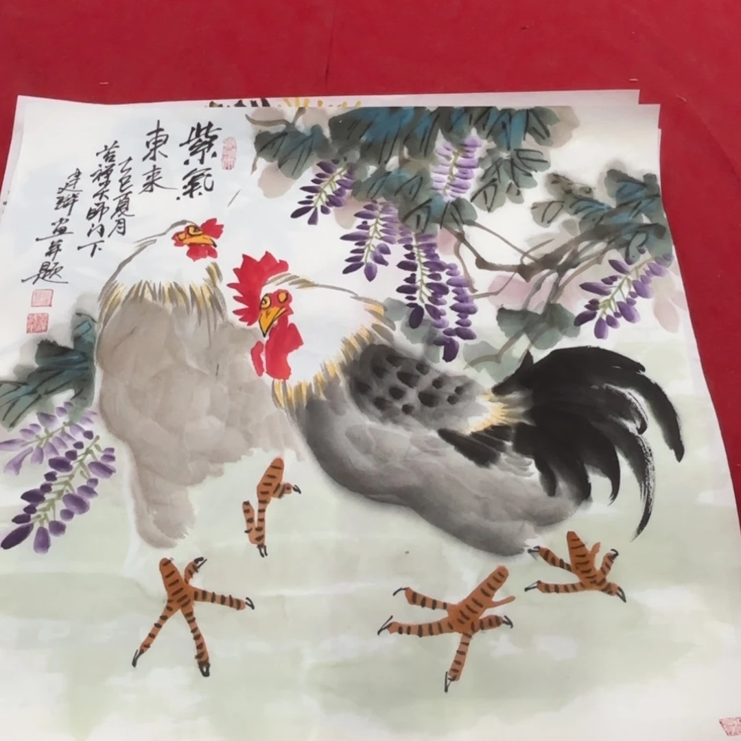 国画花鸟等多种鸟类和鸟类为