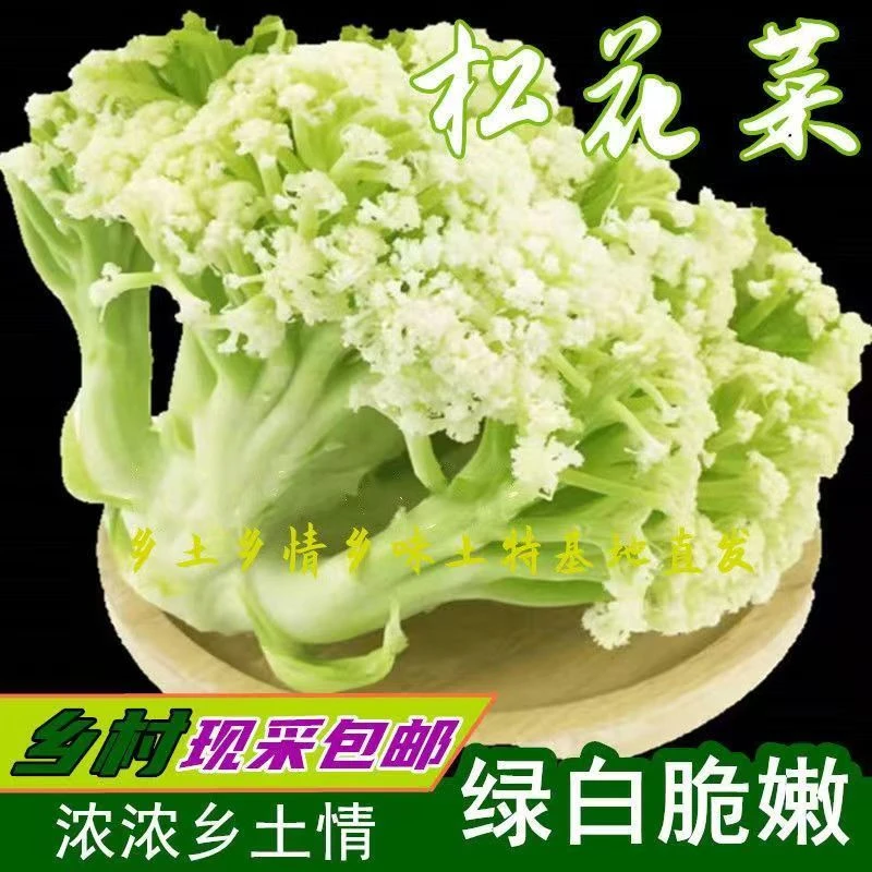 河南新鲜白花菜松花菜花椰菜新鲜花菜白花菜3/5斤