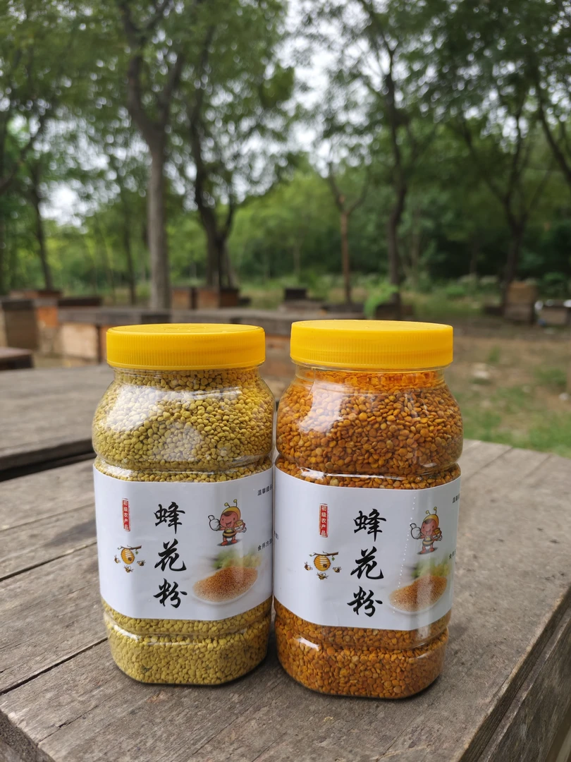 油菜花粉茶花粉500克大瓶装纯手工自然晾晒蜂场直发假一赔十