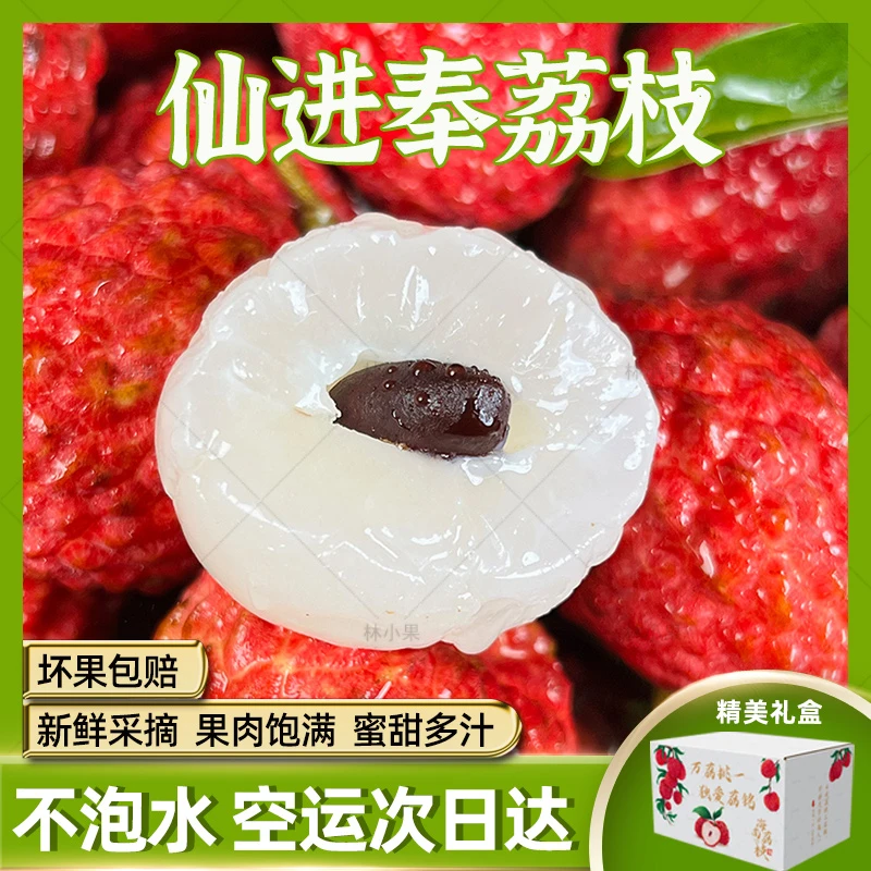 【顺丰次日达】头茬仙进奉荔枝 广东增城发货现摘新鲜不泡水5/10斤应季水果整箱包邮荔枝同城送广东省