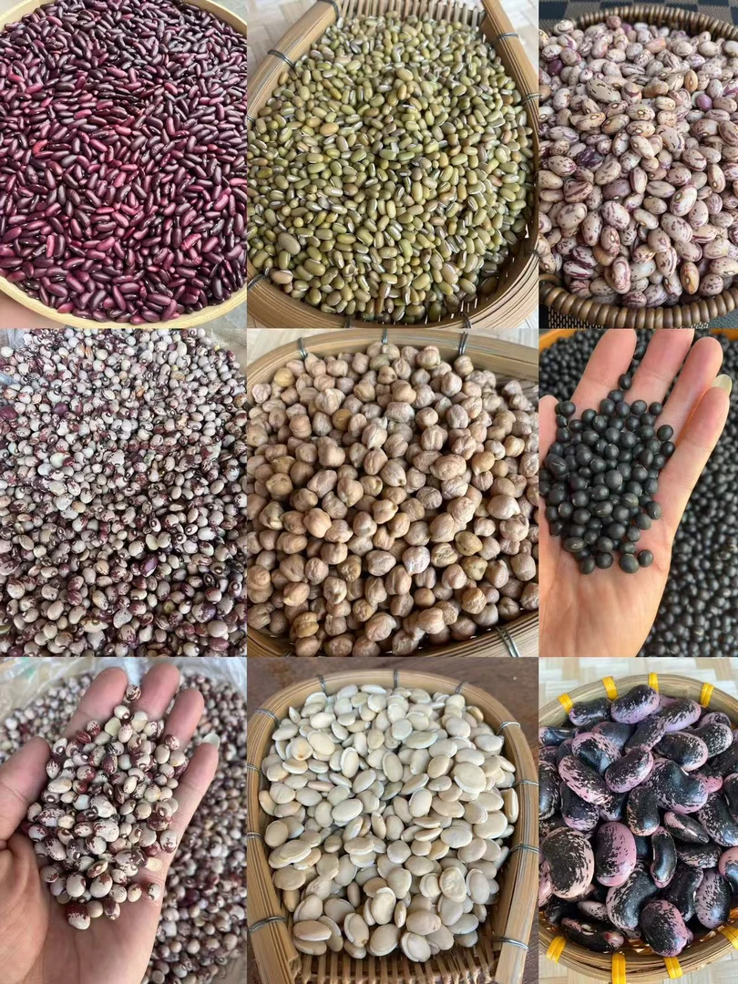 豆类JL0401重量14克可搭配绿豆