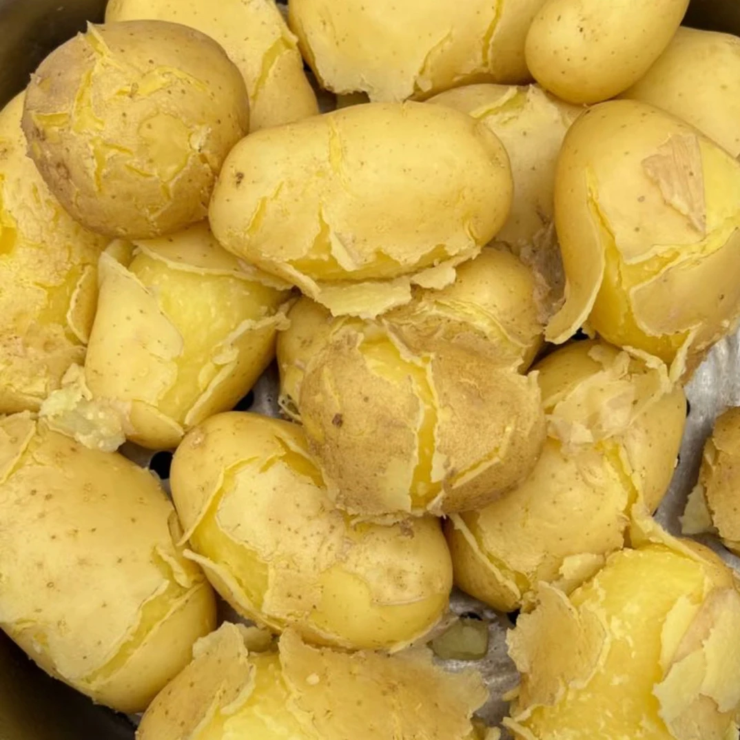 贵州老品种粉面沙沙黄心土豆沙面细腻新鲜蔬菜炖肉炒菜好吃