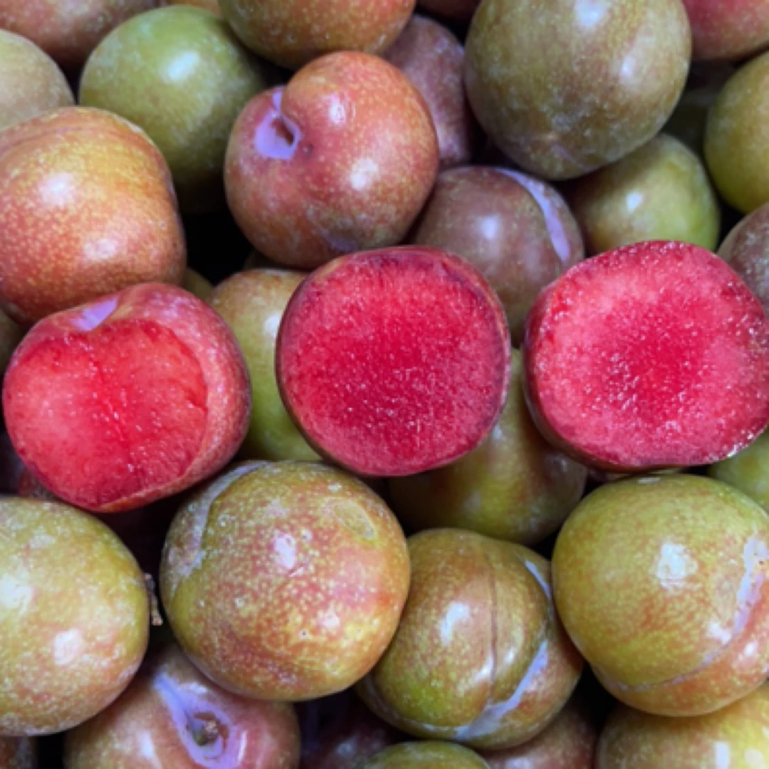 云南正宗三华李红心鸡血李新鲜现摘当季酸甜水果送辣椒面