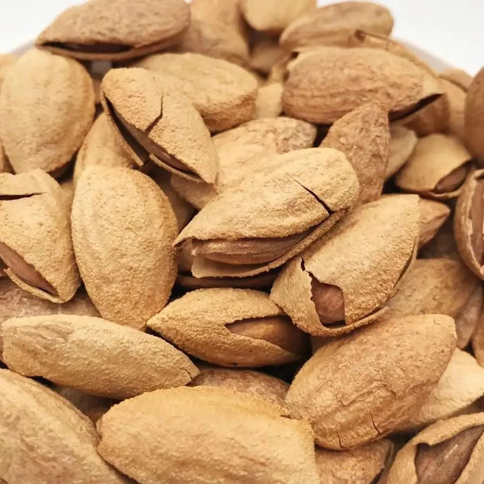 新疆阿拉尔西域神农原味纸皮炭烤巴旦木手剥即开薄壳坚果休闲零食