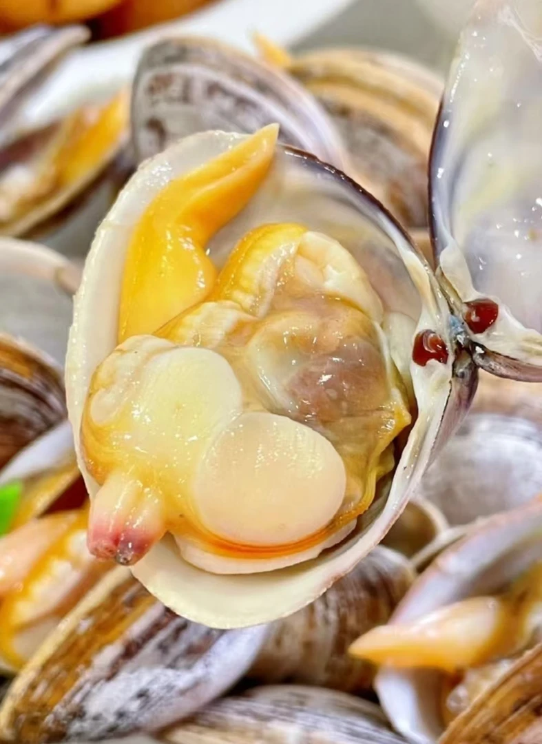 丹东东港鲜活大黄蚬子98%无沙原产地顺丰发货