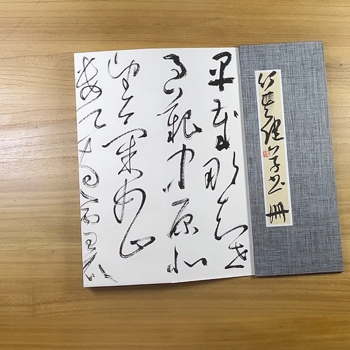 书法中书协老师作品