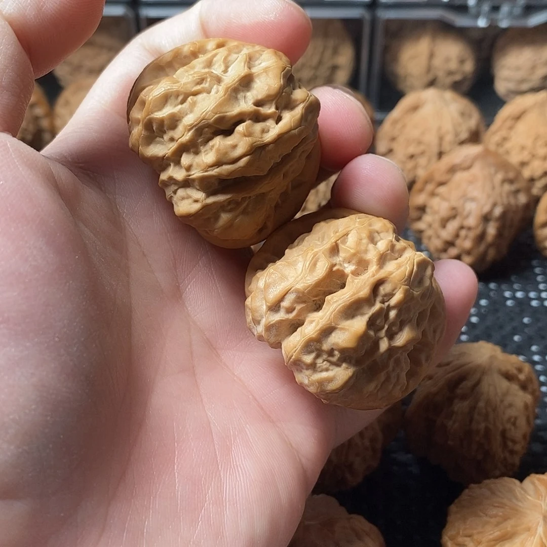 核桃手串/手链蛤蟆头尺寸41