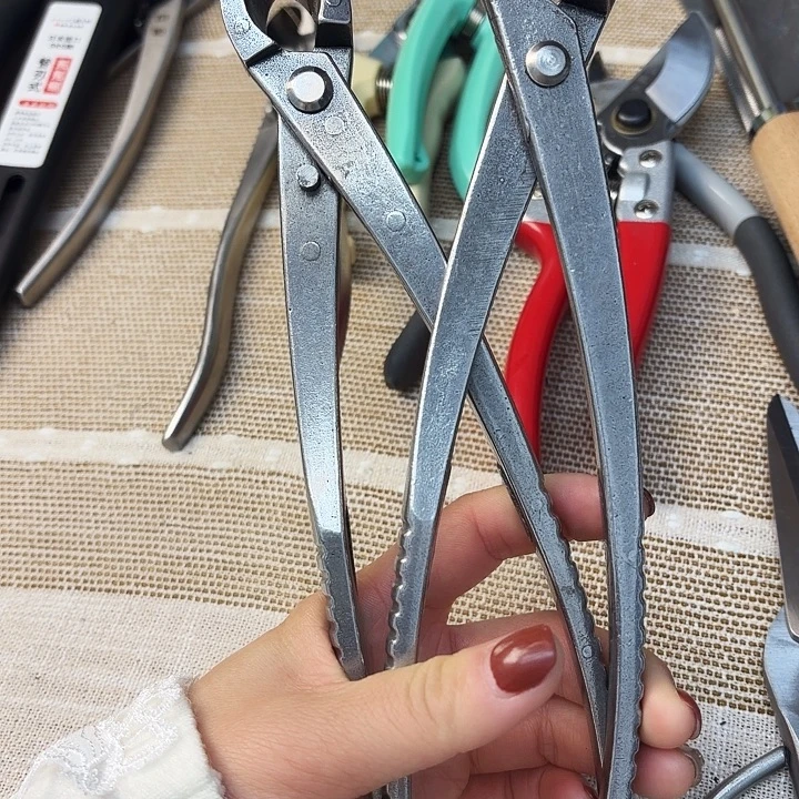 无标210不锈钢球1把➕斜口剪1把210包邮