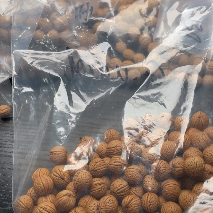 青***司核桃手串/手链私人定制不退不换150