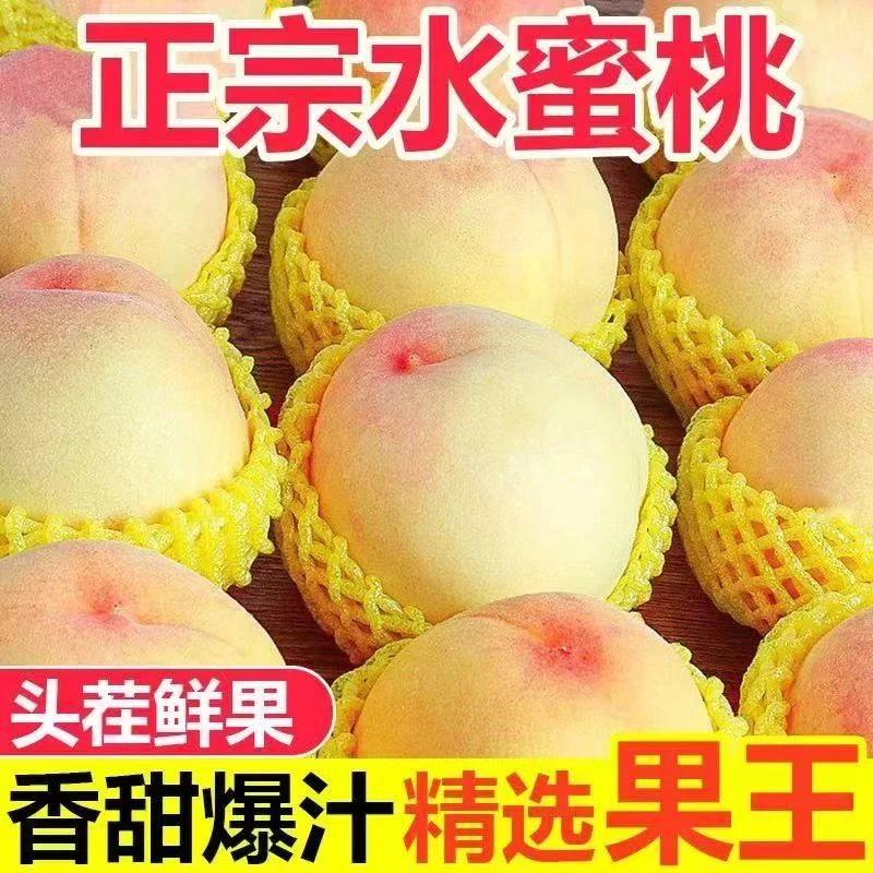 【顺丰包邮】（4两-5两）现采现发白凤水蜜桃硬吃脆爽软吃多汁水果