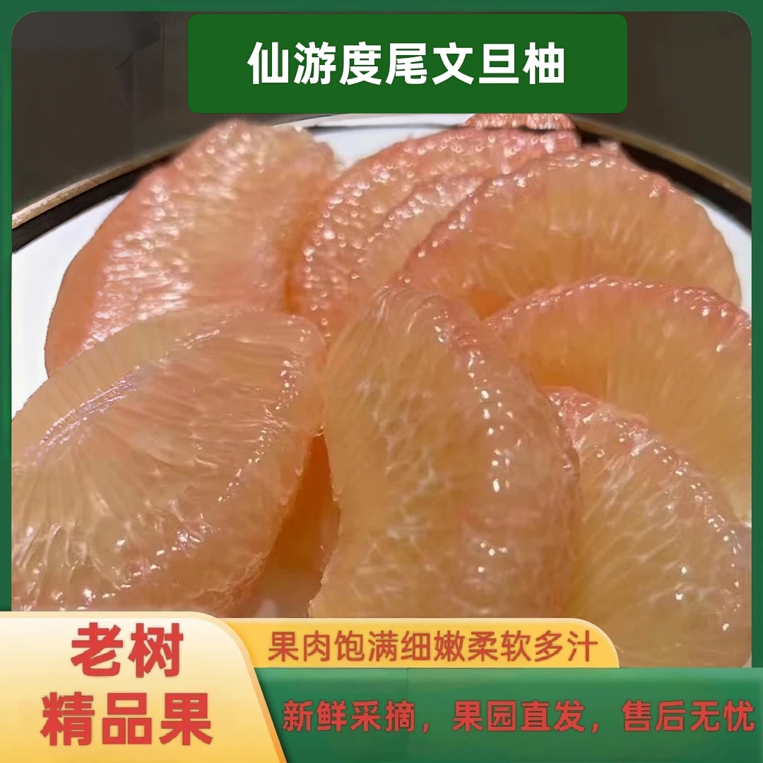 《表嫂专属》福建仙游度尾文旦柚新鲜当季应季孕妇水果酸甜多汁