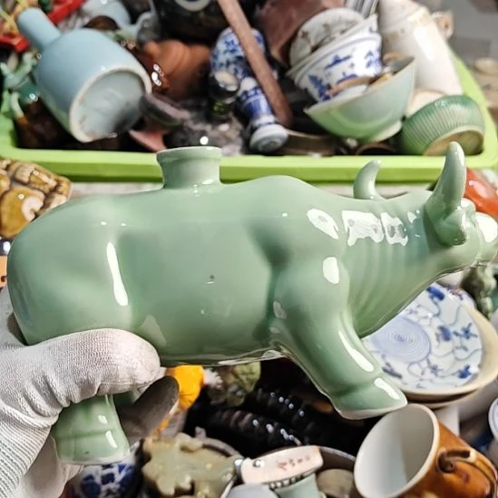 鹰***歌啊啊啊啊啊啊啊啊啊啊啊啊啊