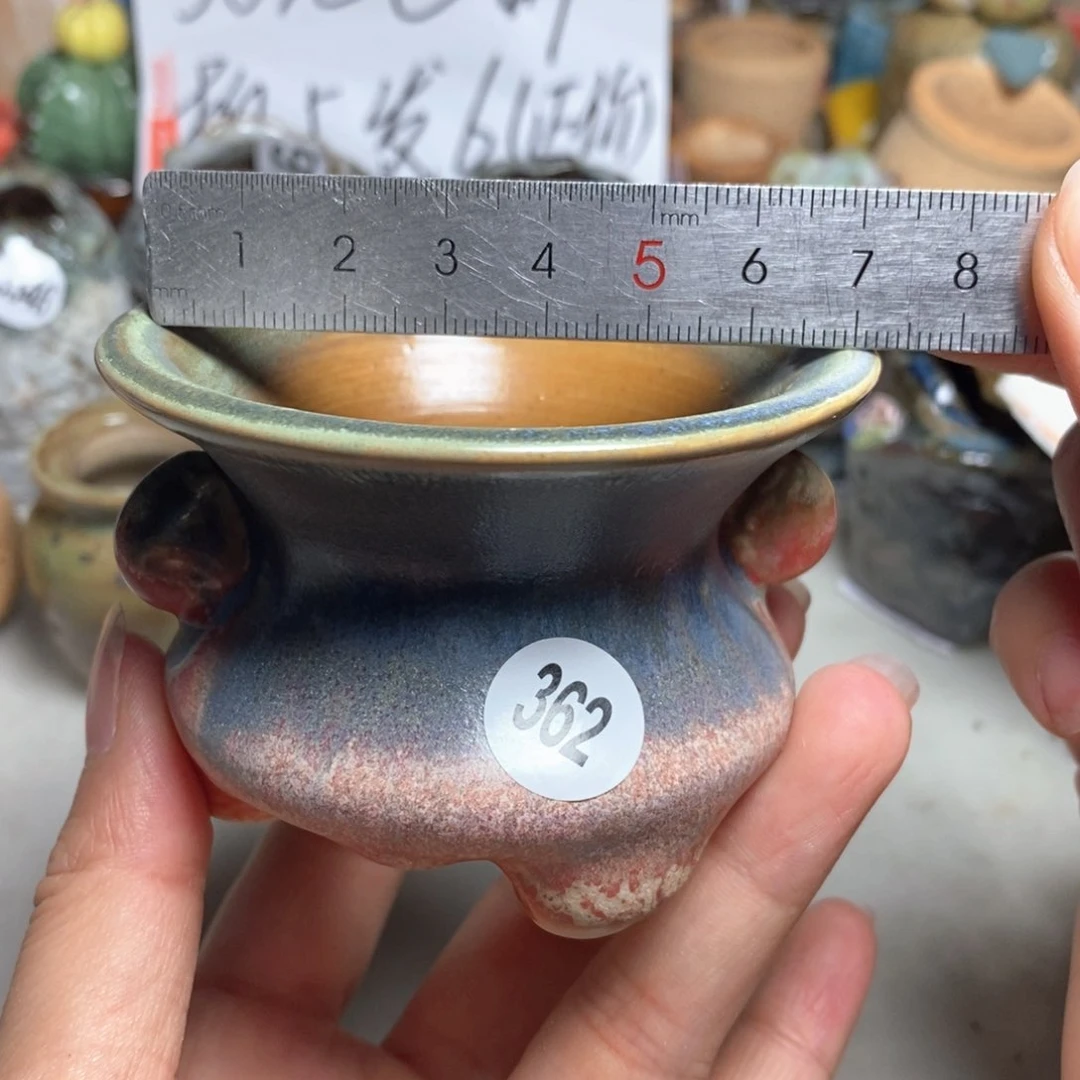 拍5送一个小礼物