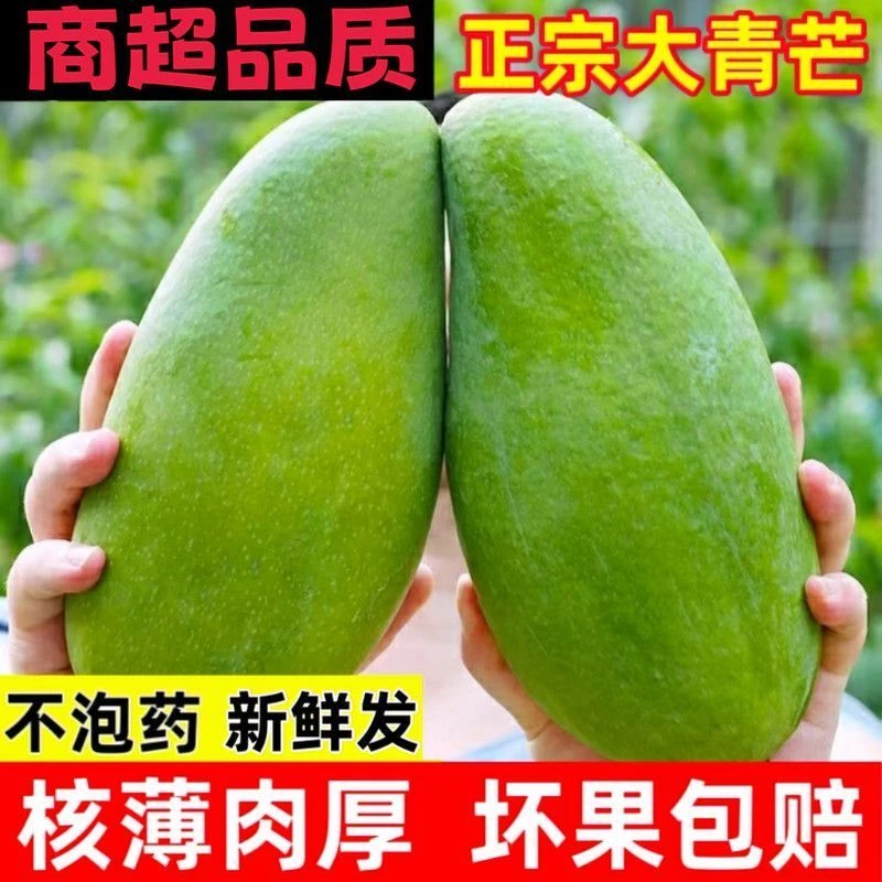 【果农严选】正宗新鲜青皮大青芒果 生熟两吃 头茬新鲜应季皮薄带箱