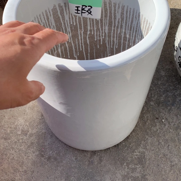 花盆里的小猫咪们都好可爱啊哈哈哈
