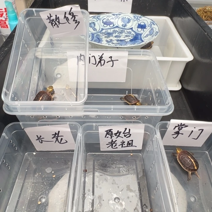 无***语啦啦了我来接我去上班咯