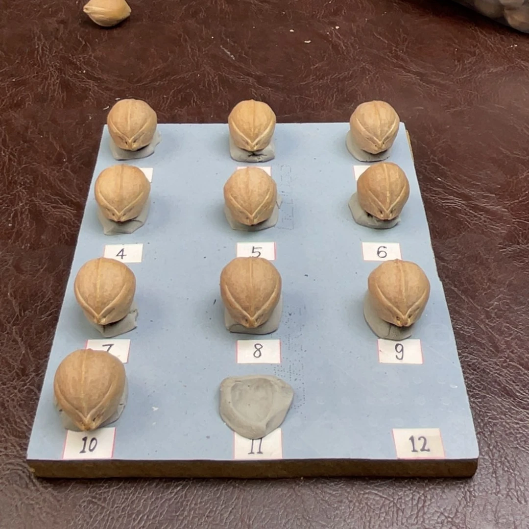 手串/手链橄榄核靠***蛋21.27梅林铁核