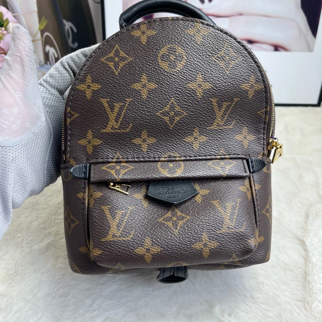 99新 LouisVuitton/路易威登 老花双肩包mini（纯芯片）