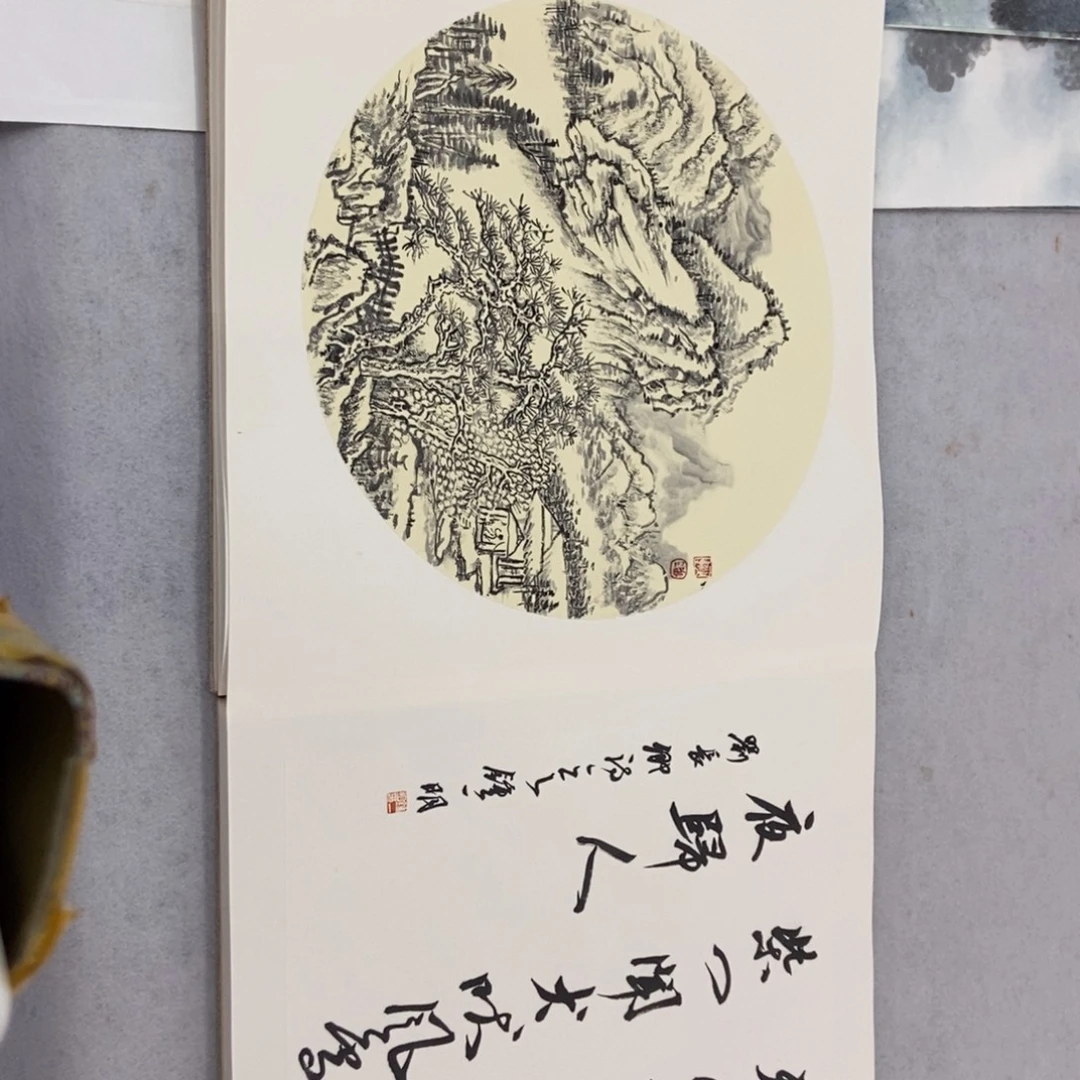 T***r国画墨鱼精品墨鱼精品