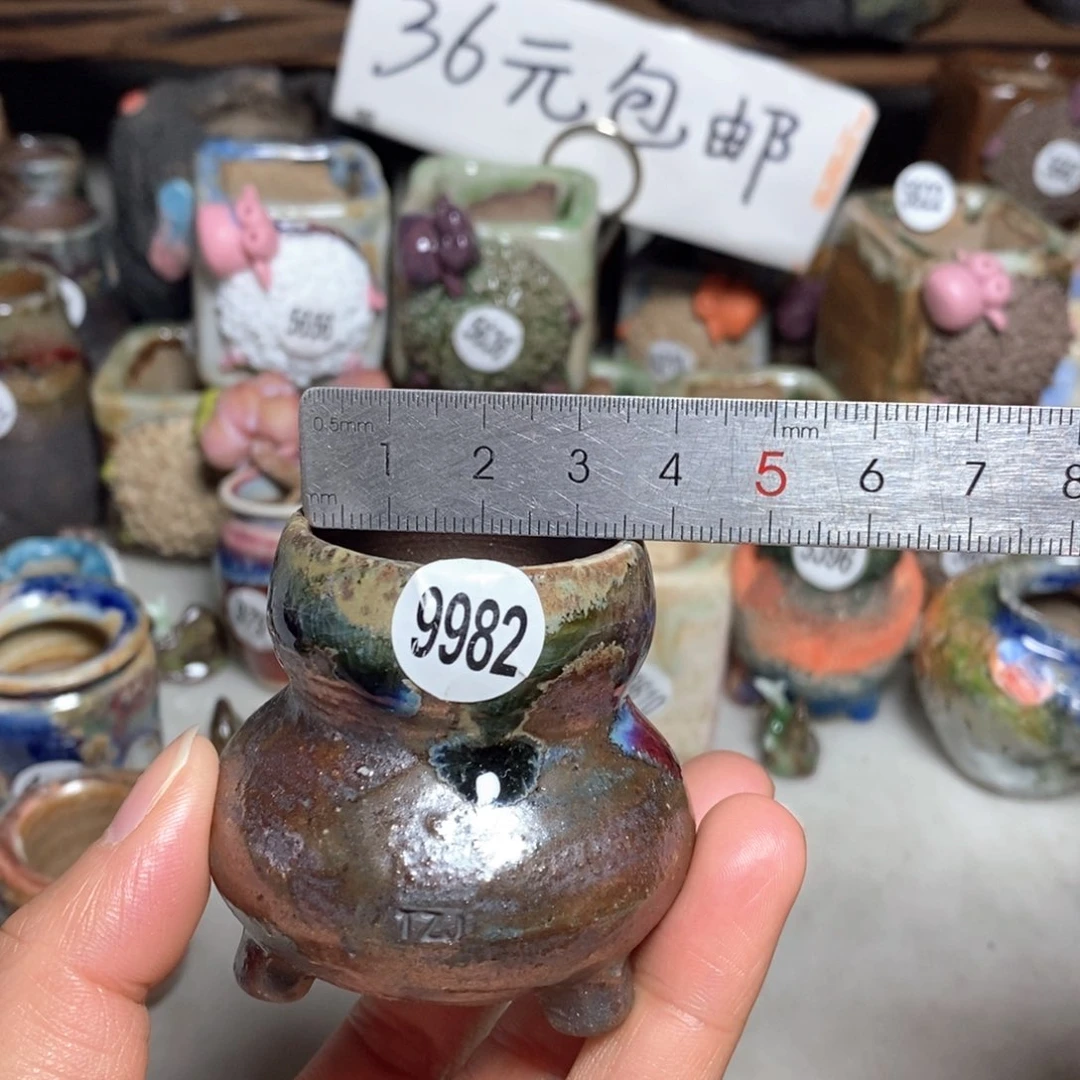 拍5送一个小礼物