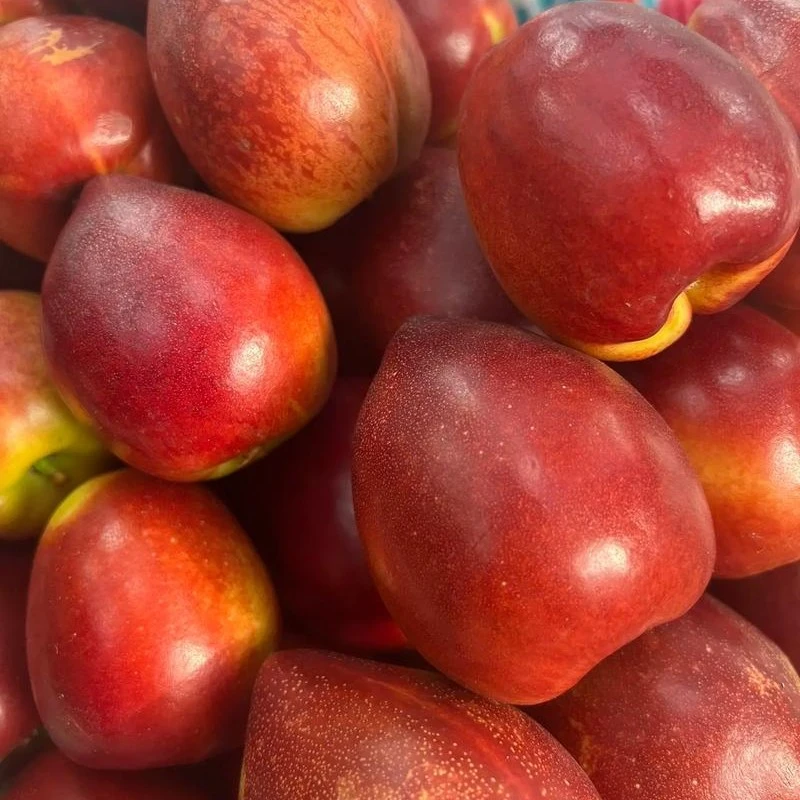 精品油桃11.8一斤油桃