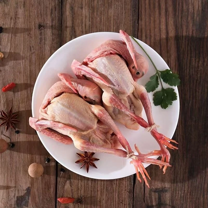 【4只】2年农家土鸽现杀现发去头去脚去内脏炖汤滋补顺丰冷链发货