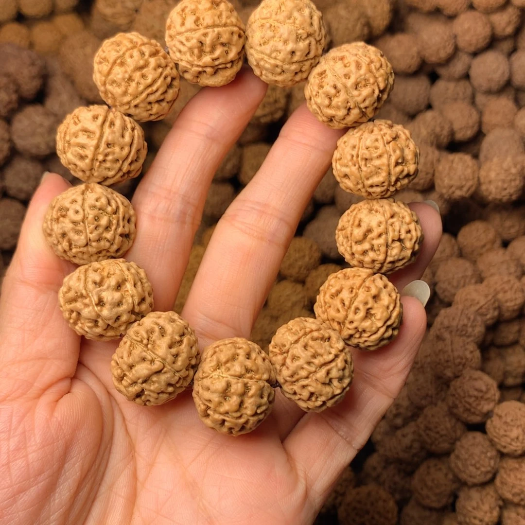 木7瓣爆肉卡20尺寸，49号