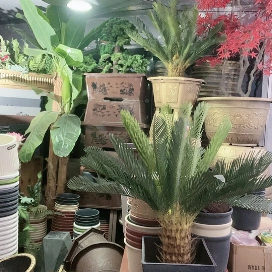 复合盆景制作方法