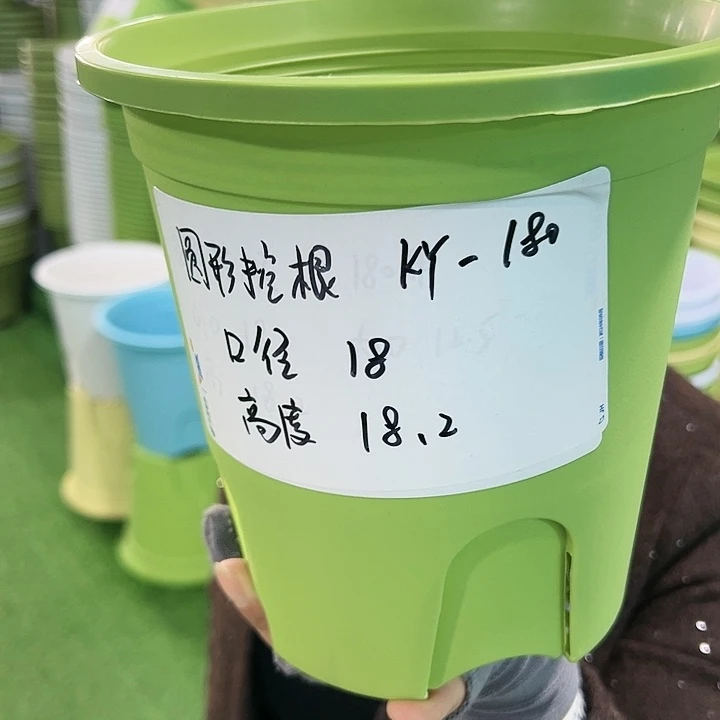 正品圆控口18高18果绿无托8只