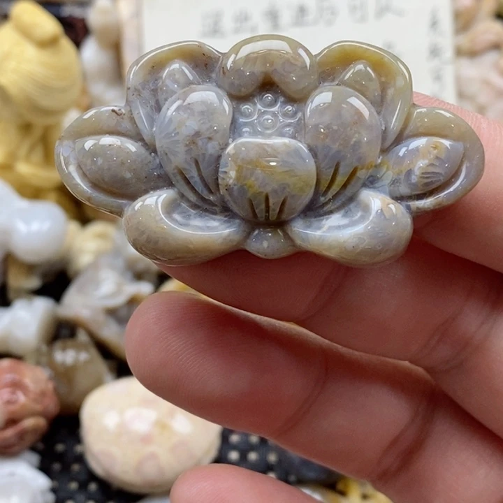 颈饰未镶嵌硅化珊瑚（珊瑚玉）