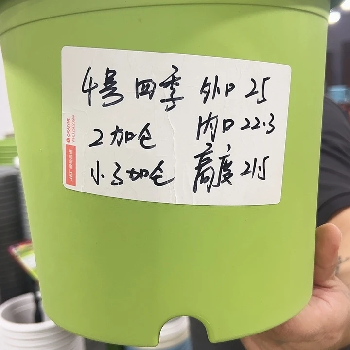 特价4号四季口25高21混色8个带托