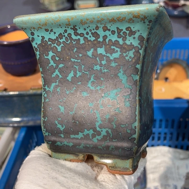 觉象花盆盆景盆盆栽