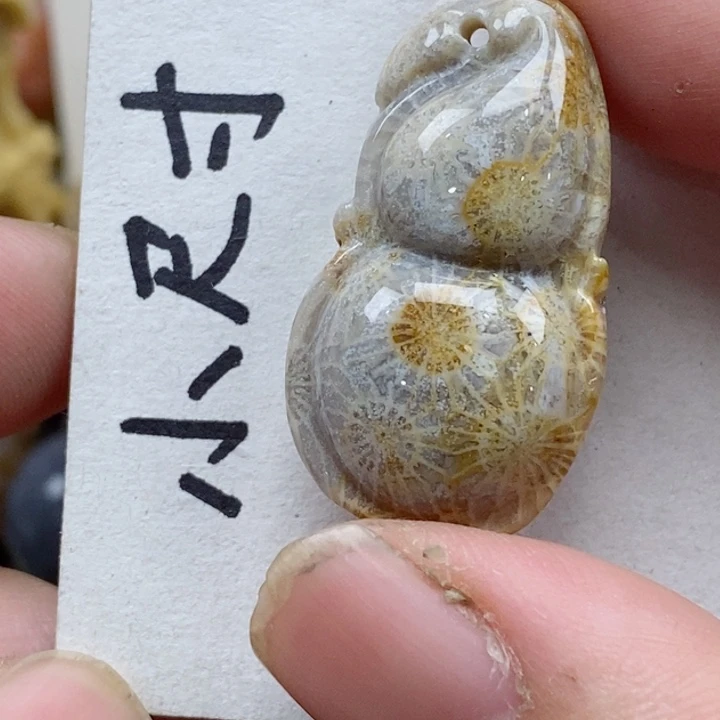 颈饰未镶嵌硅化珊瑚（珊瑚玉）