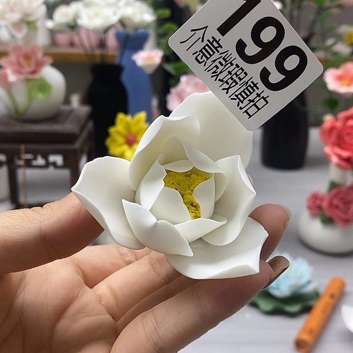 陶瓷陶瓷材料加工