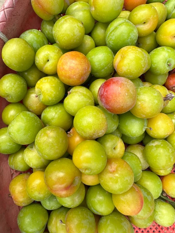 云南李子小酸李子新鲜采摘酸脆三月李孕妇水果当季青李子送辣椒面