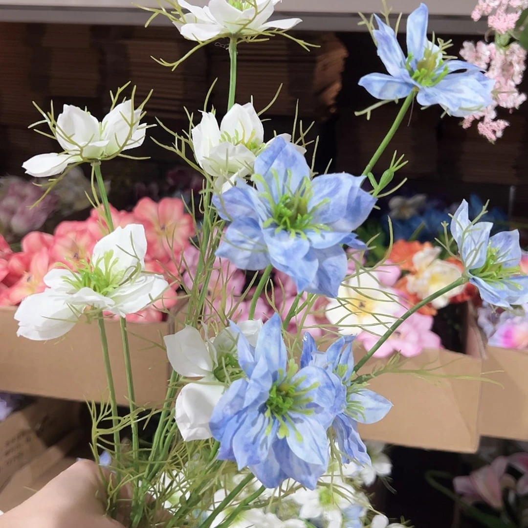 2枝混色黑种草。