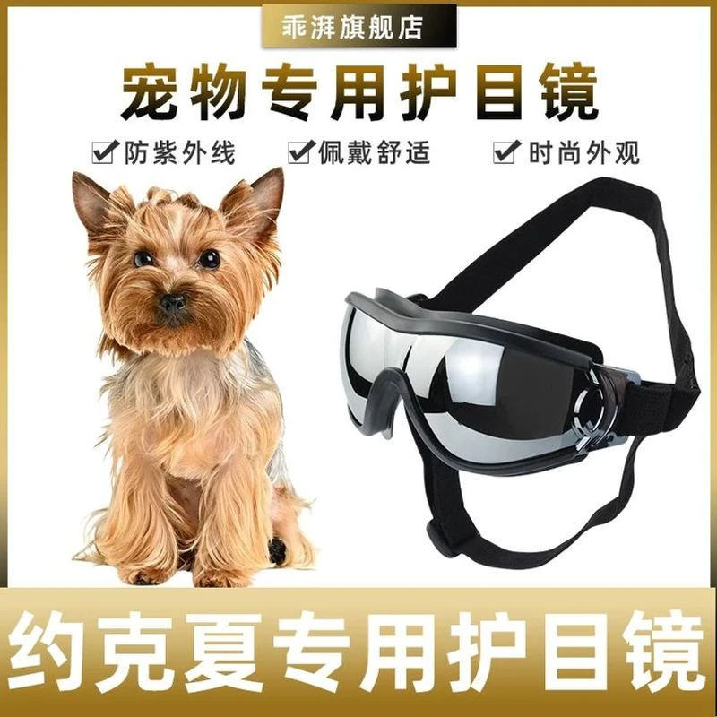 约克夏专用墨镜小型犬骑行防风紫外线宠物镜狗护目镜宠物配饰