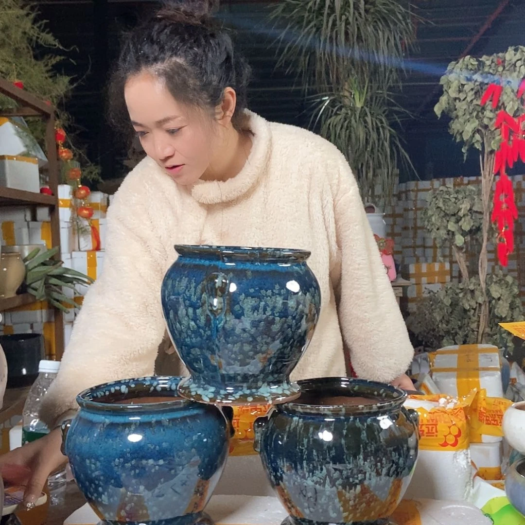 红陶花盆里栽松了