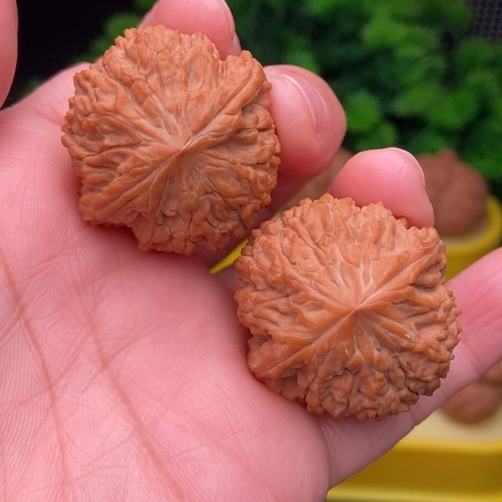 萌***奇佛髻33.5全品11111111