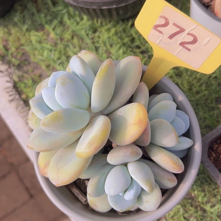 健健康康平平安安