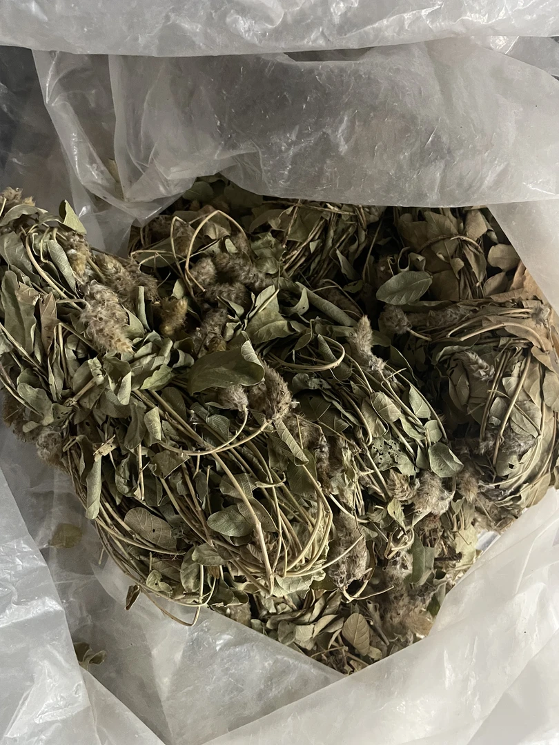 狸尾草新鲜晒干煲汤煮水250g