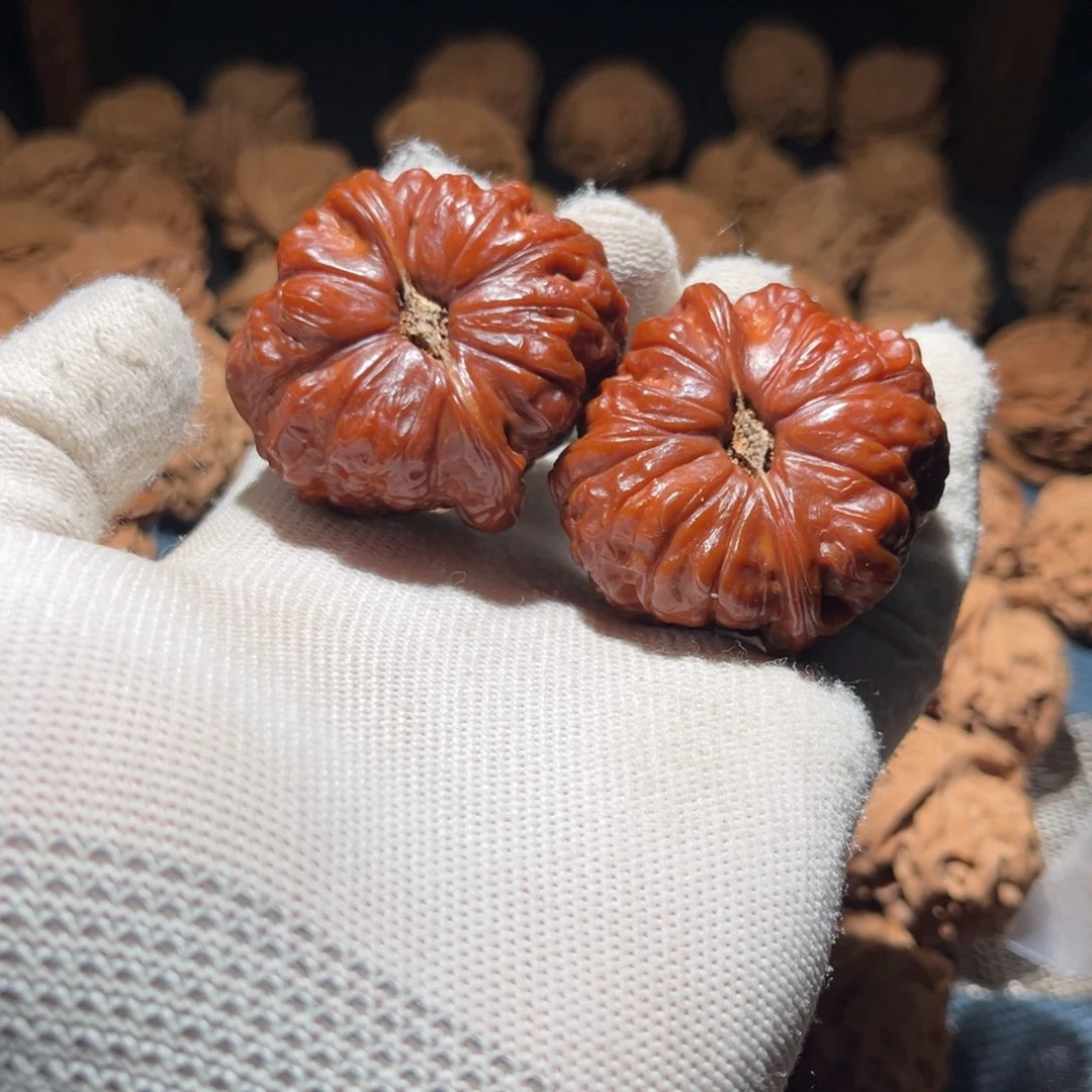 核桃45全品毕业南瓜墩