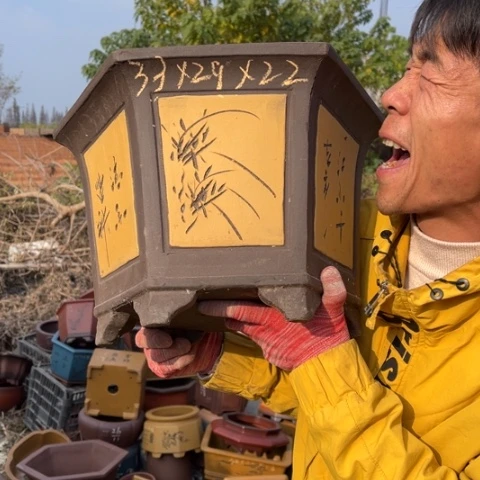 花盆紫砂特价包邮送