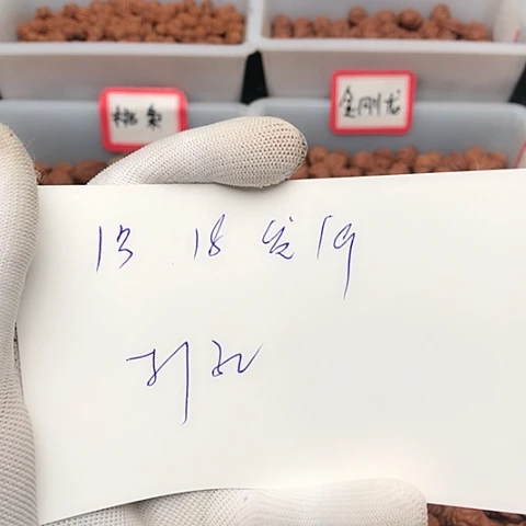 桃核吊坠芝**豆龙纹桃核的搭配