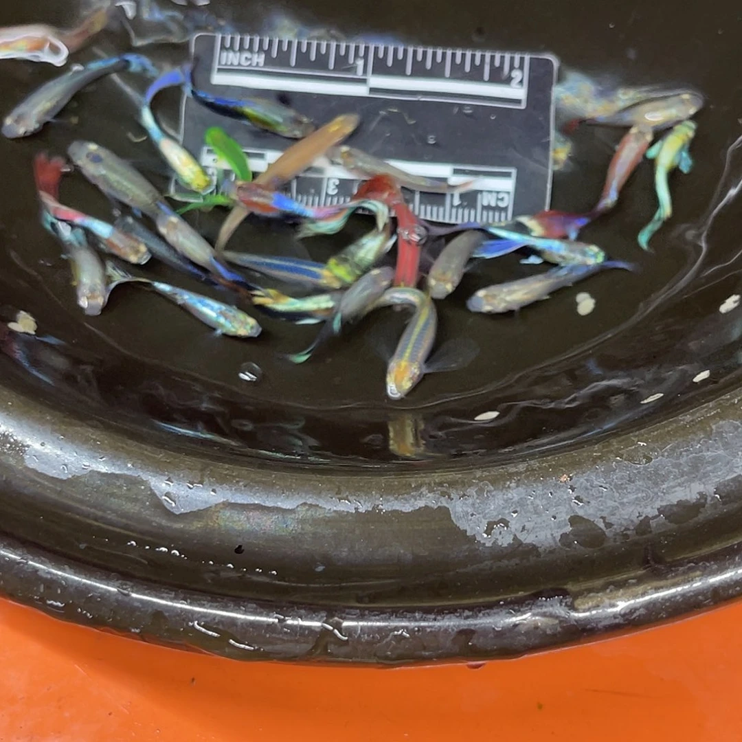 海水6号哈哈哈哈哈哈