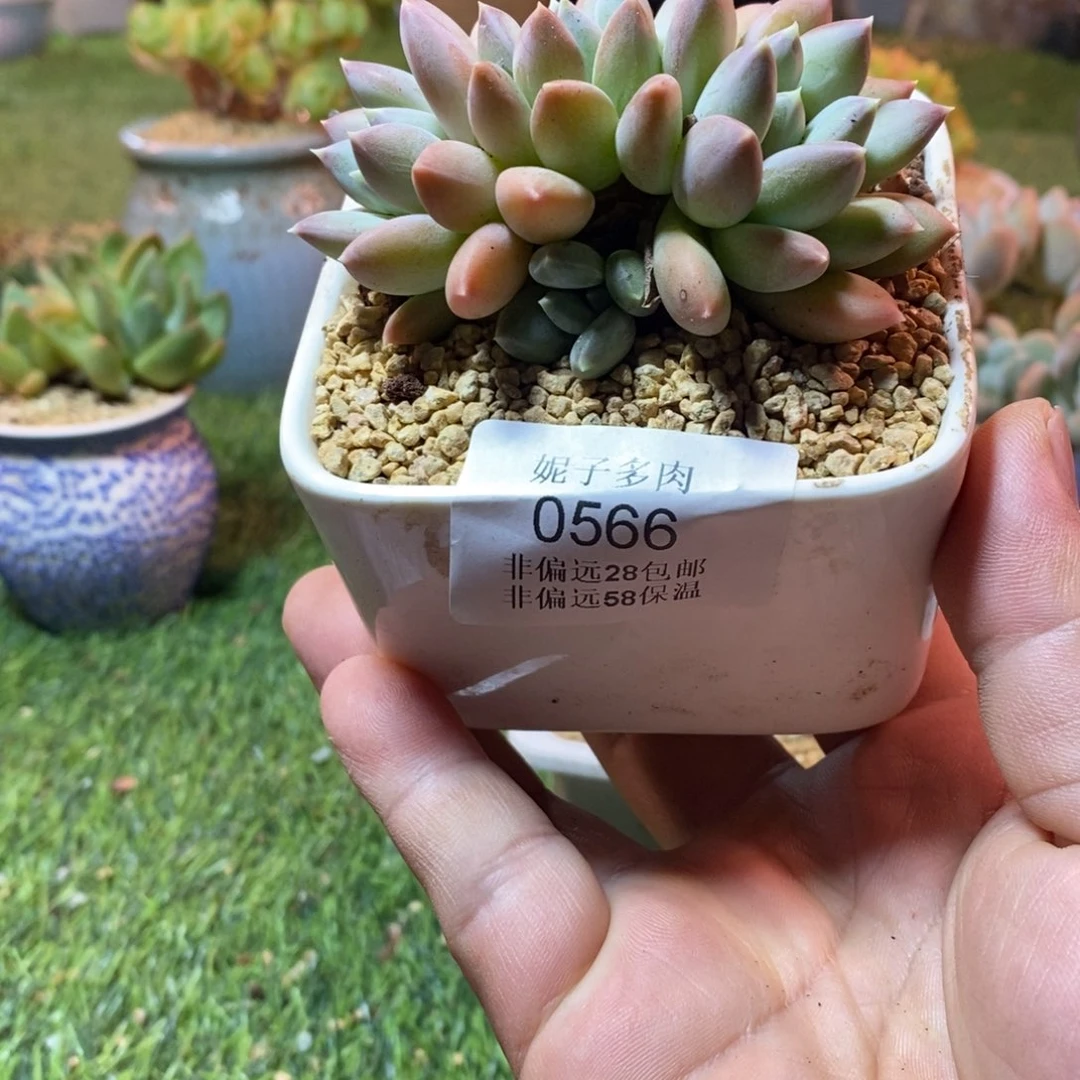 ╰***姐0566啊啊啊啊啊啊啊啊