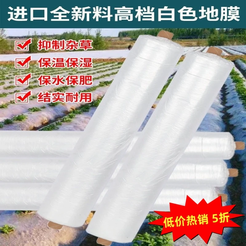 白色地膜种菜种植专用白地膜农用保温加厚小拱棚塑料薄膜养护薄膜