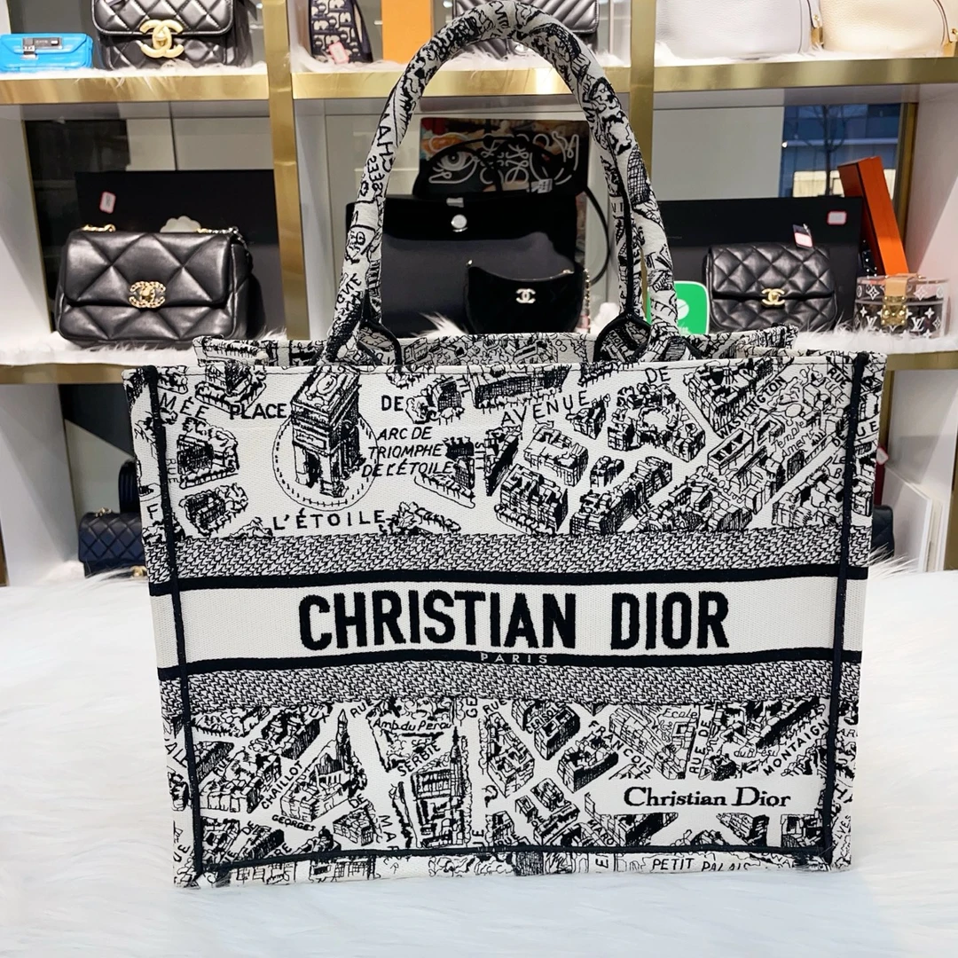 95新 DIOR/迪奥 Plan de Paris巴黎地图刺绣中号托特包，22年编码