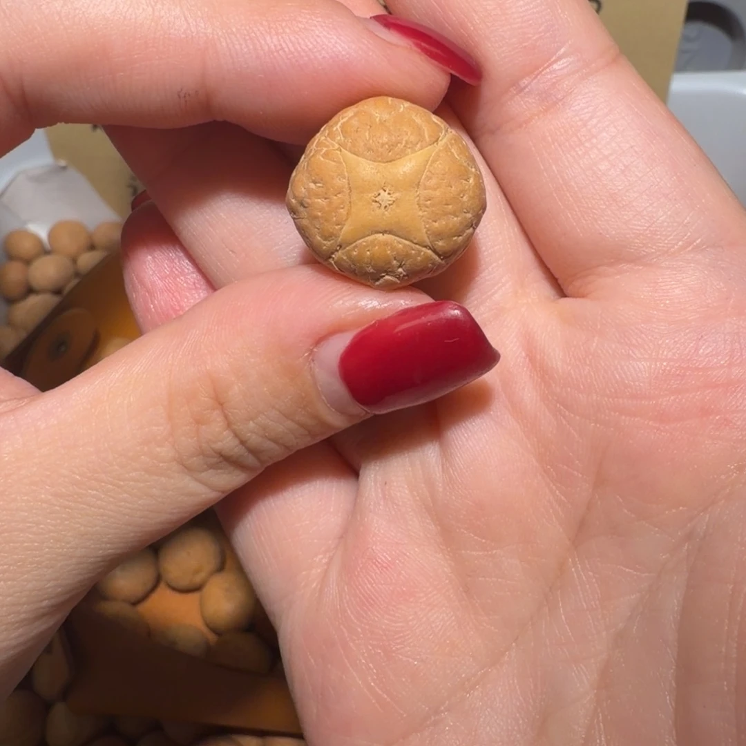 木***墨凤眼菩提吊坠木艺